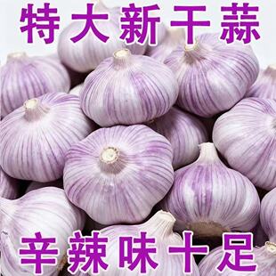 25年新干蒜大蒜头农家新大蒜头干蒜紫白皮大蒜当季 蔬菜