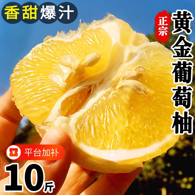 【地标认证】福建平和黄金葡萄柚子新鲜水果包邮整箱黄肉蜜柚西柚