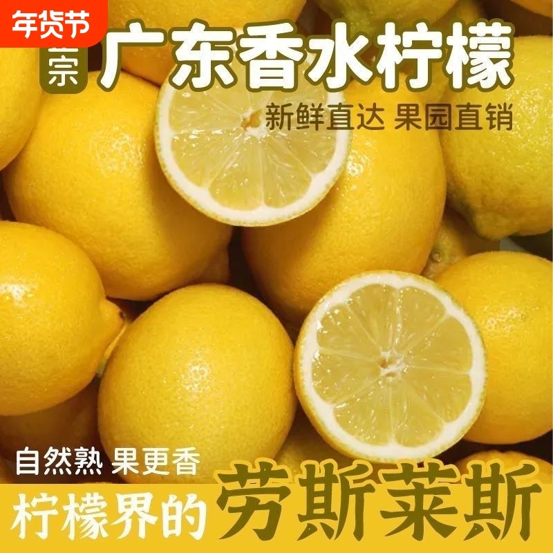 正宗广东香水黄柠檬当季新鲜水果泡饮精选薄皮柠檬非四川黄柠檬