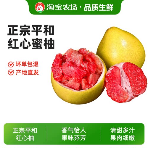 福建平和红心柚子现摘