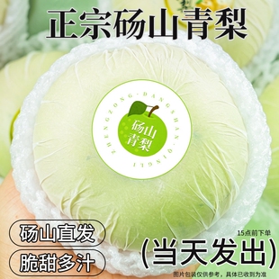 梨子新鲜水果砀山青梨皇冠梨当季翠冠梨香酥脆蜜早雪梨整箱包邮