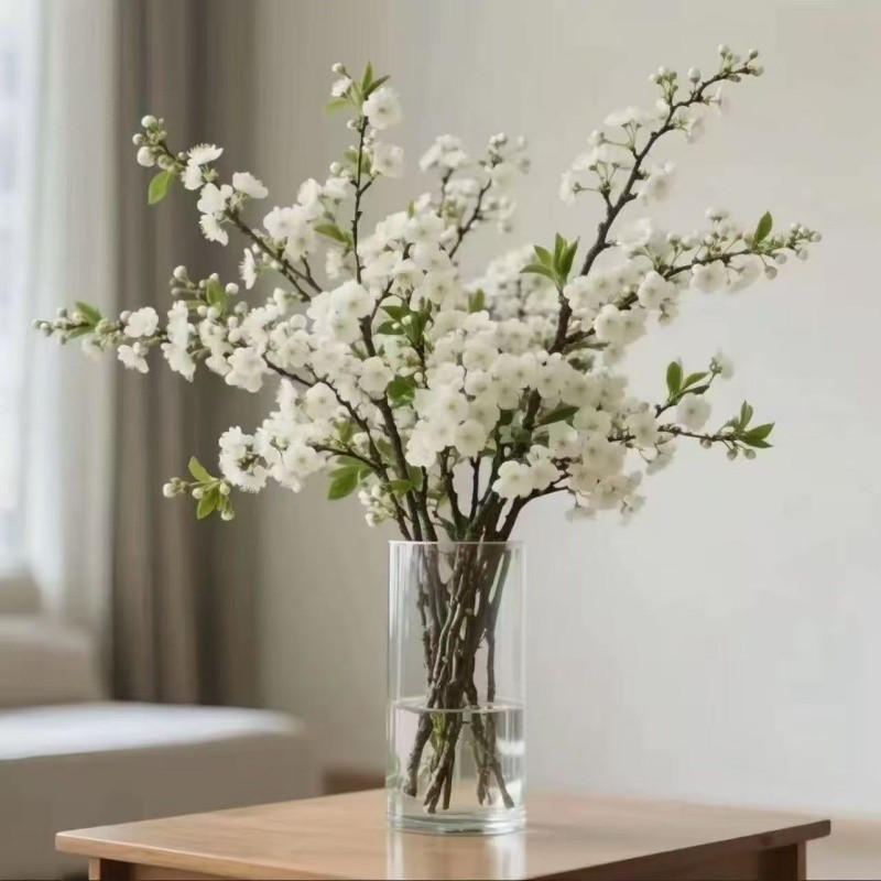 【遇水开花】鲜枝浓香型水培梅花枝带花苞室内耐寒花卉绿植