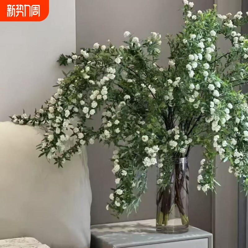 水培小手球鲜切花鲜花云南基地直发单瓣手球花客厅装饰插花花期长