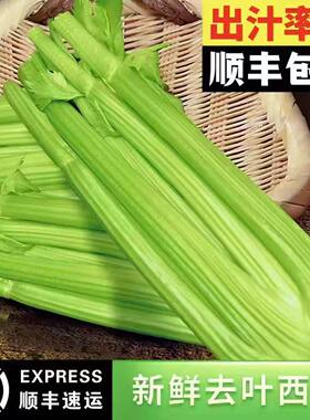 顺丰包邮寿光西芹新鲜鲜芹菜榨汁
