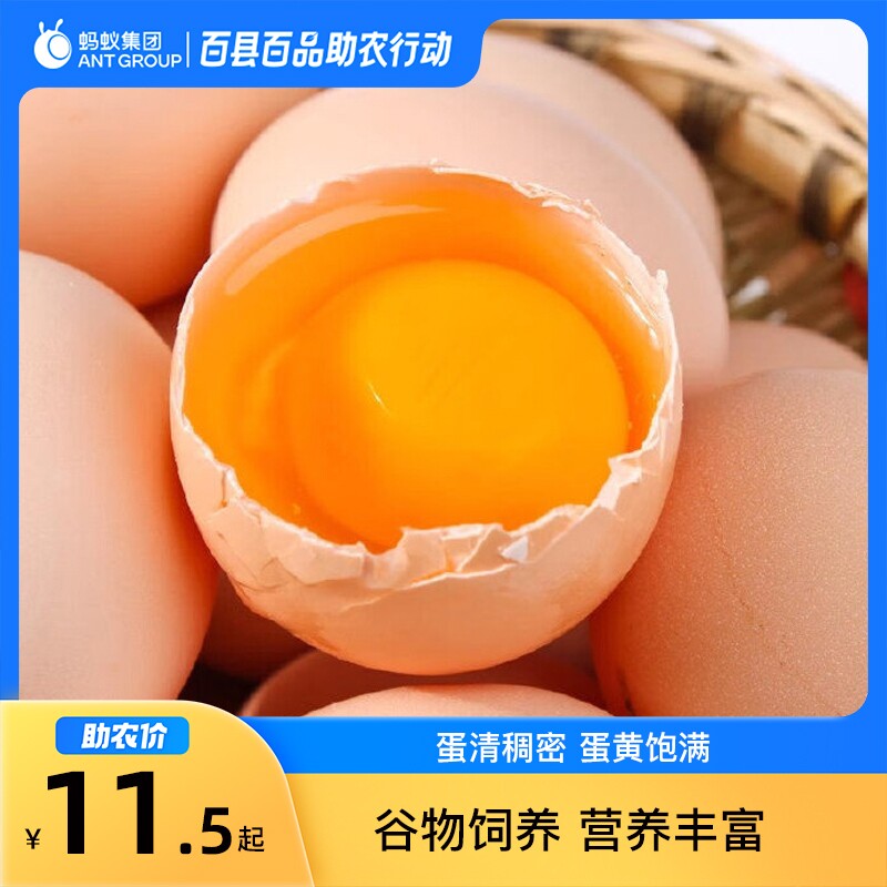 河南濮阳农家新鲜鸡蛋45g散养笨鸡蛋
