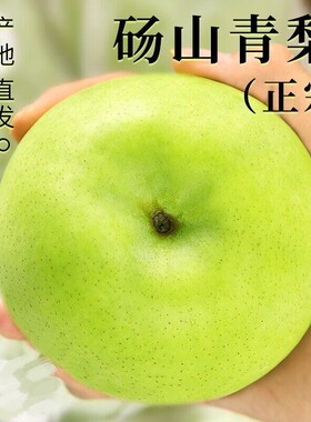 安徽砀山酥梨老树脆甜多汁