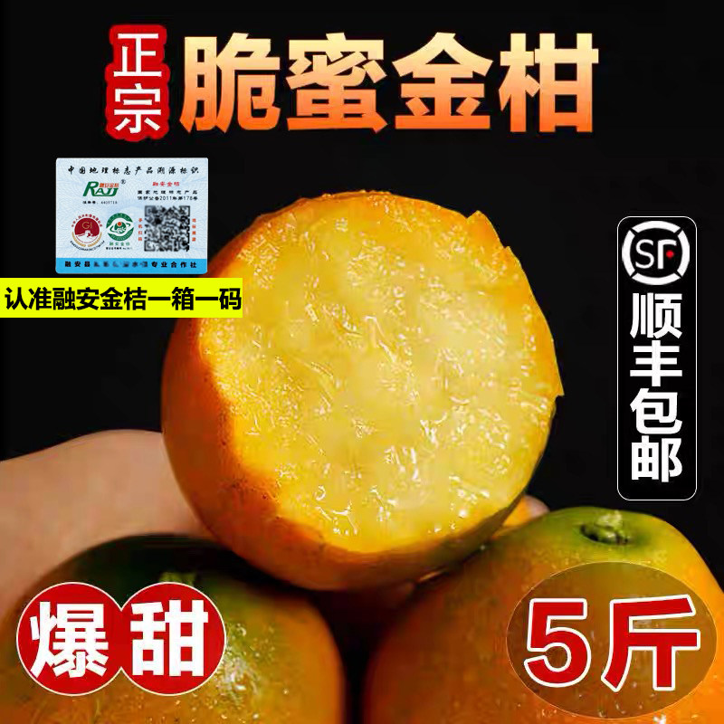 顺丰包邮第三代脆蜜金柑金桔纯甜爆汁无籽新鲜当季水果