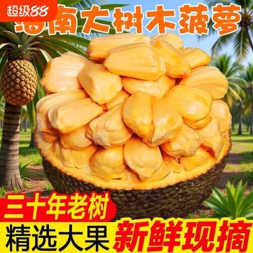 海南三亚黄肉菠萝蜜新鲜水果