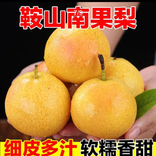 鞍山南果梨海城南果梨东北特产新鲜采摘