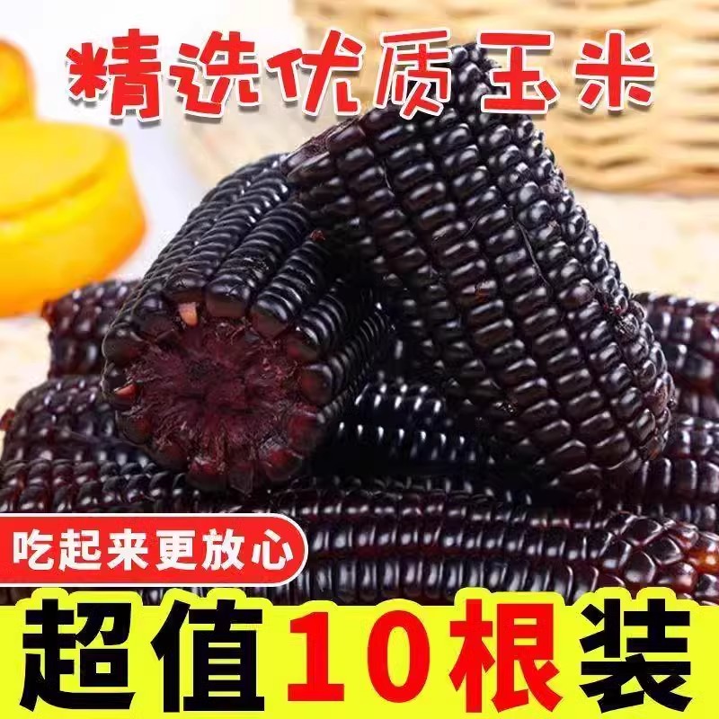 黑糯玉米10根东北黑玉米真空装新鲜加热即食黏玉米香甜软糯