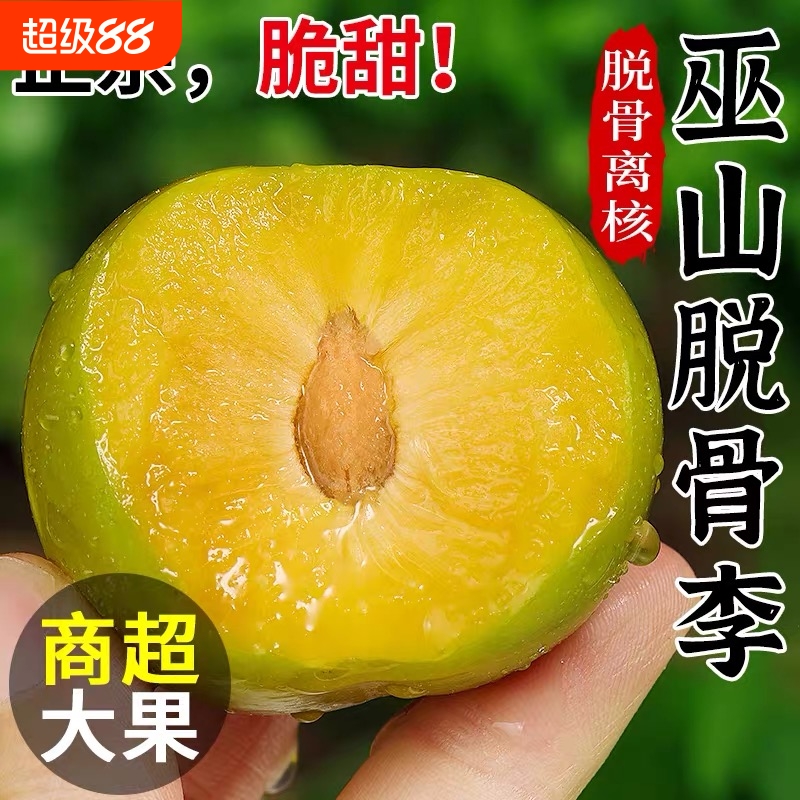 礼盒贵州镇宁六马峰糖李超甜蜂蜜新鲜现摘现发脱骨李水果脆李脆甜