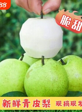 【头茬现摘青皮蜜梨】