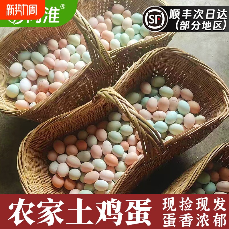岗淮新鲜土鸡蛋正宗农家散养新鲜鸡蛋柴鸡蛋草鸡蛋笨鸡蛋乌鸡蛋