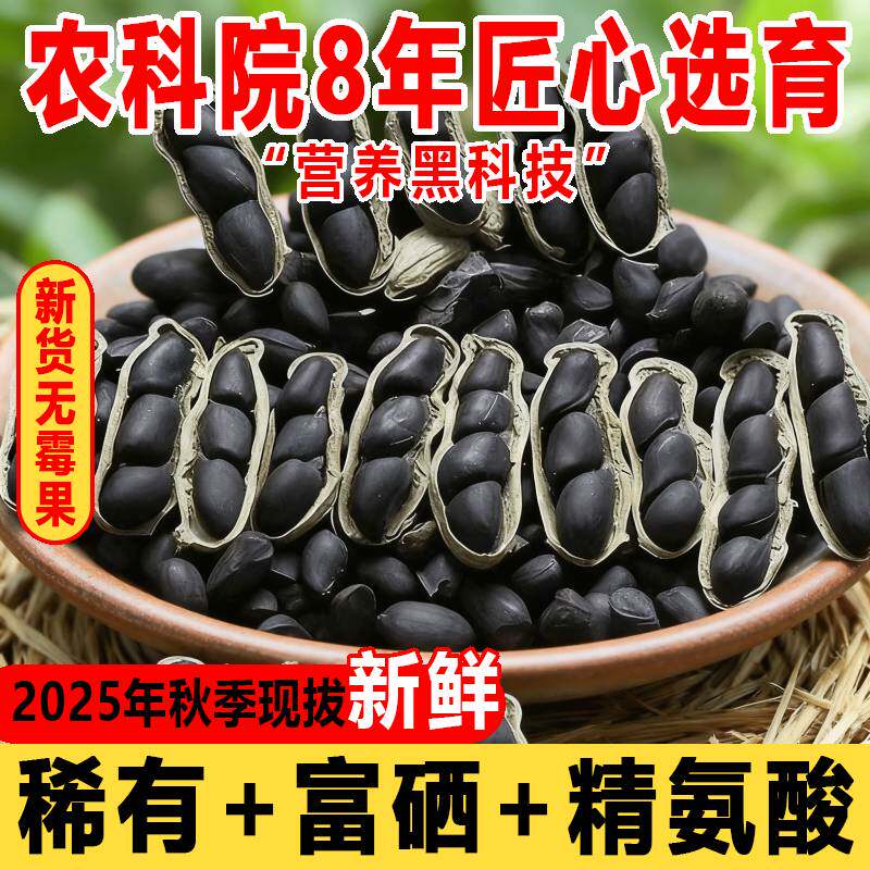 黑花生坚果聚会分享必备好物