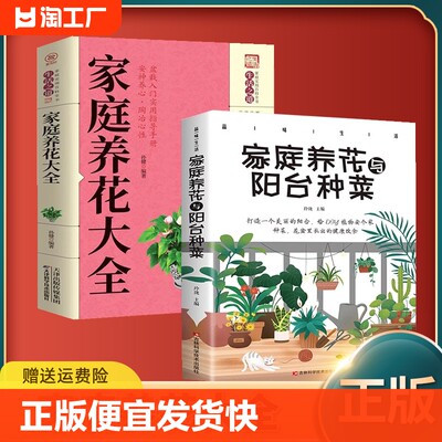 正版速发 家庭养花大全 家庭养花实用技巧盆栽入门实用指导手册新手实用居家健康花草大全室内养花书籍sj