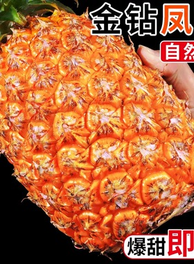 正宗海南金钻凤梨牛奶甜脆无渣树上自然熟果香浓郁