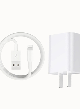 驯龙师5V2A单口充电头+适用苹果5-14系列白线1米单条套装