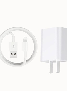驯龙师5V2A单口充电头+适用苹果5-14系列白线1米单条套装