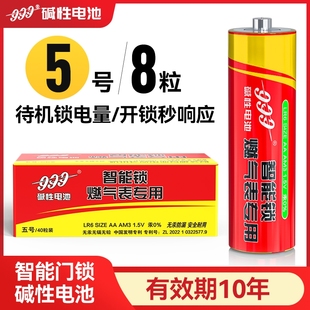 锁1.5V碱性5号电池防盗门智能门锁儿童玩具遥控器燃气表AA五号电池 电子锁指纹锁适用电池密码 10年质保
