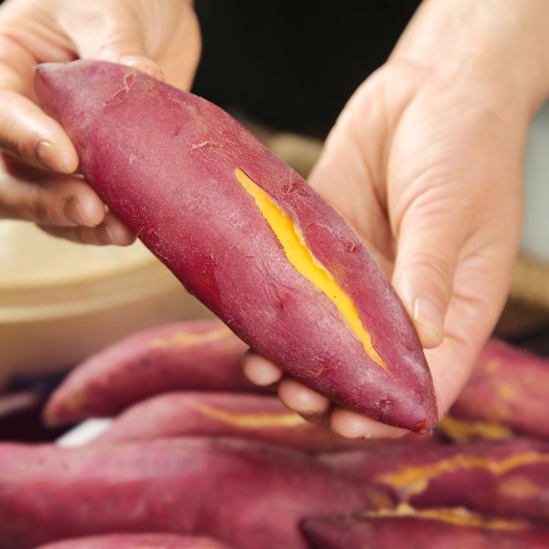 正宗天目农家板栗番薯