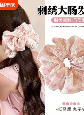 刺绣大肠发圈女2026新款头花丸子头皮筋发绳头绳发饰蓝色粉色花朵