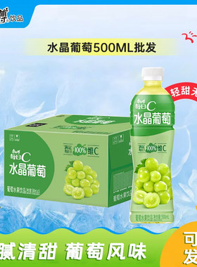 康师傅水晶葡萄夏日饮料整箱批发