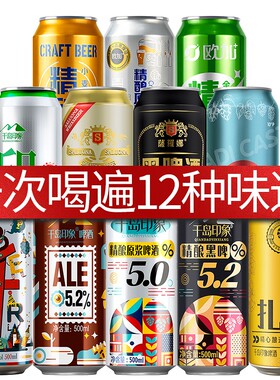 国产精酿啤酒组合装12罐