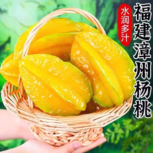 福建漳州杨桃水果当季整箱鲜果新鲜红龙扬桃五角星多规格