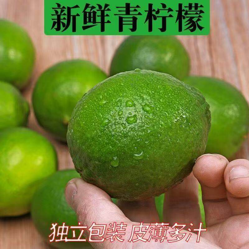 四川安岳青柠檬非云南无籽皮薄肉厚汁多酸爽香水小柠檬鲜柠檬源头
