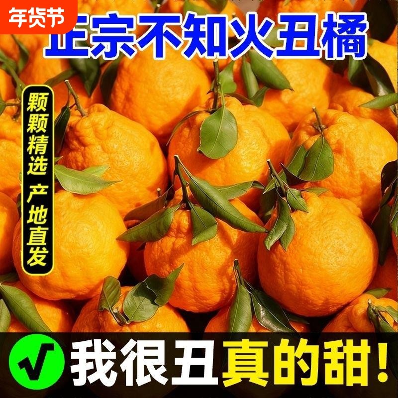 四川眉山不知火丑橘丑当季新鲜现摘水果橘子薄皮丑柑橘整箱桔子,水产肉类/新鲜蔬果/熟食,桔子,淘宝优惠券,粉丝福利购,淘宝优惠卷