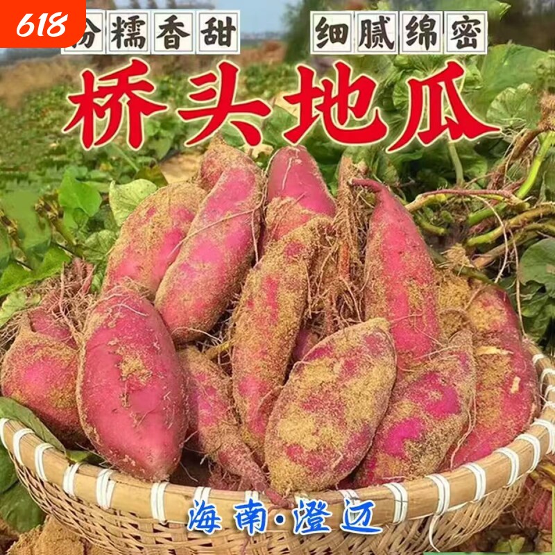 海南澄迈桥头地瓜富硒正宗板栗小红薯新鲜粉糯自种番薯黄心蜜薯