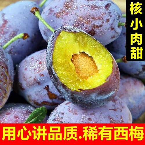 正宗西梅大果孕妇水果新鲜正宗多汁当季水果蜜应季水果现摘包邮