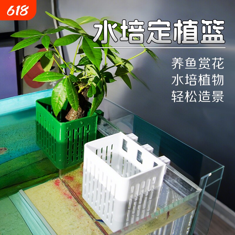 鱼缸水培定植篮壁挂式红薯种植杯绿萝植物篮水草固定神器造景装饰