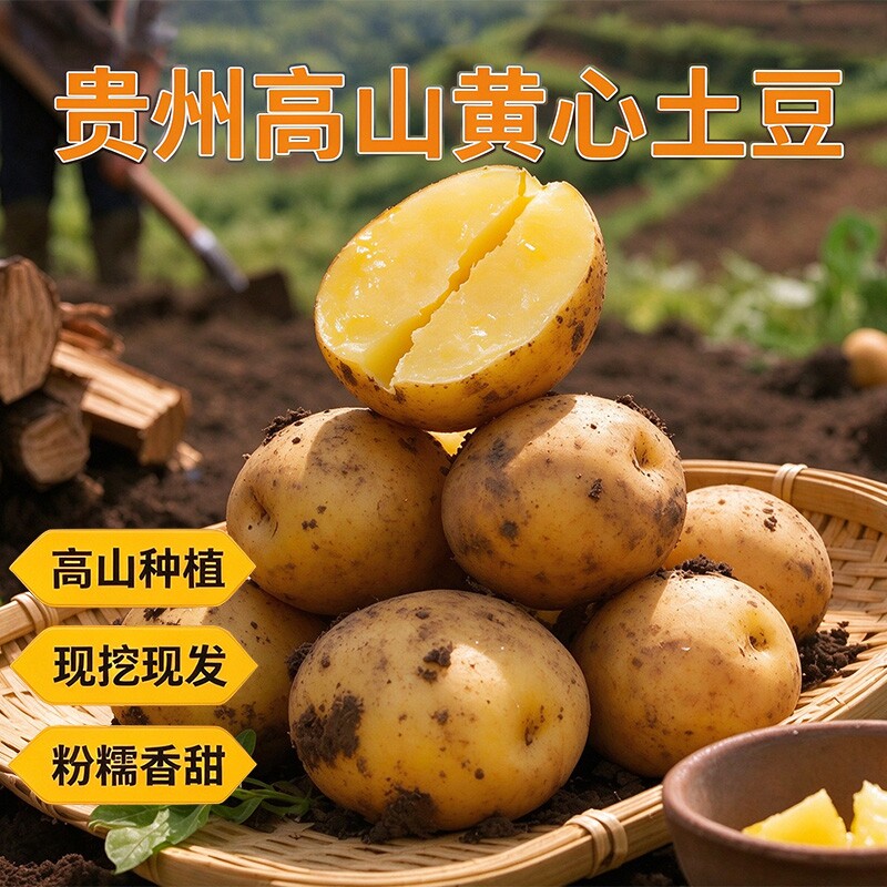 贵州特产黄心土豆农家自种新鲜现挖马铃薯洋芋5斤装整箱批发包邮
