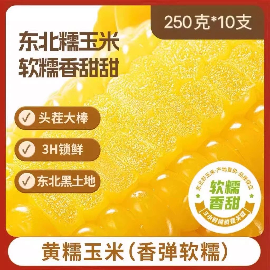 当季东北新鲜黄糯玉米棒纯正苞米真空装早餐代餐黄糯玉米香糯,粮油调味/速食/干货/烘焙,玉米,淘宝优惠券,粉丝福利购,淘宝优惠卷