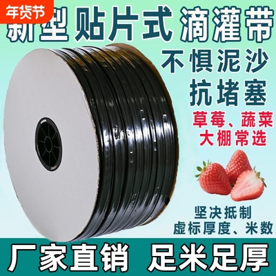 双孔滴灌带农用大棚16mm