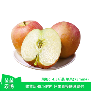 【芭芭农场】陕西红富士苹果4.5斤单果75mm+【1Y2-M】