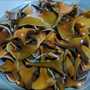 福建霞浦海带头干货特级厚正宗特厚海带新海带丝