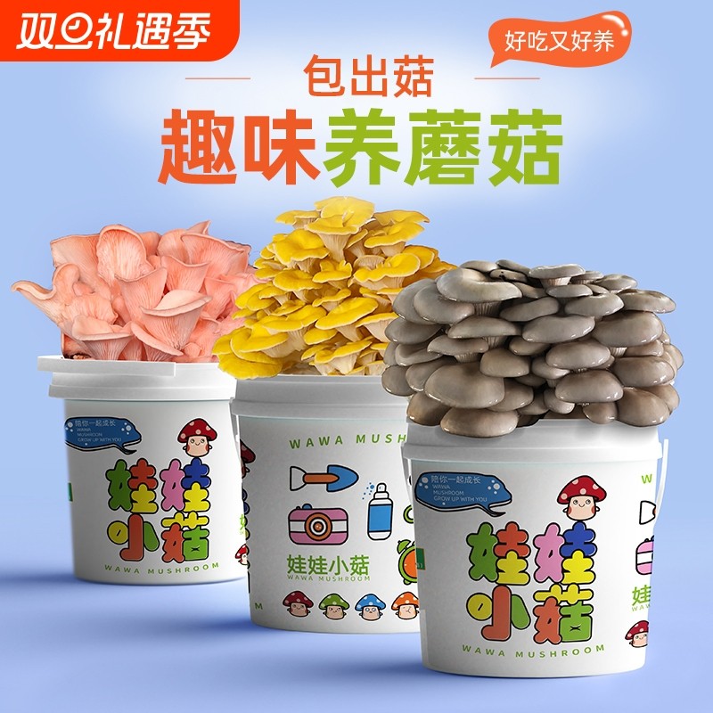 蘑菇种植包盆栽桶装趣味阳台儿童DIY平菇养殖食用菌包盒子棒多肉