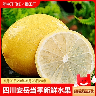 新鲜水果泡饮精选薄皮香水鲜甜大柠檬生鲜亮袋 四川安岳黄柠檬当季