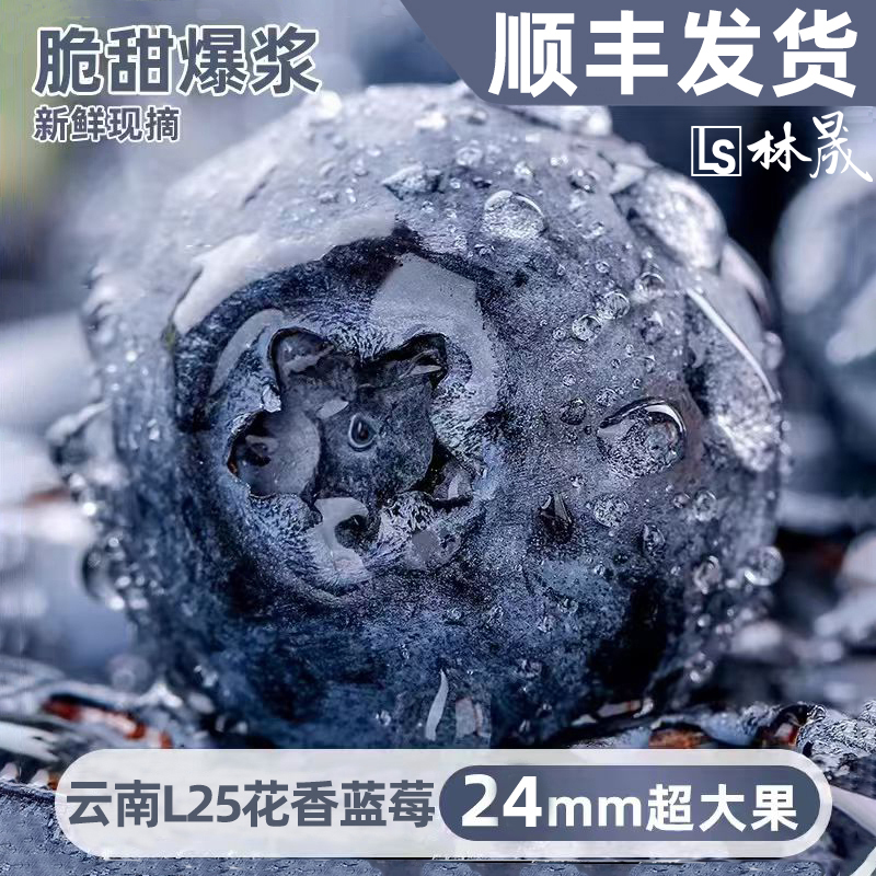 云南高山L25蓝莓特大果24mm+厚果粉超新鲜花香四溢应季鲜果包邮