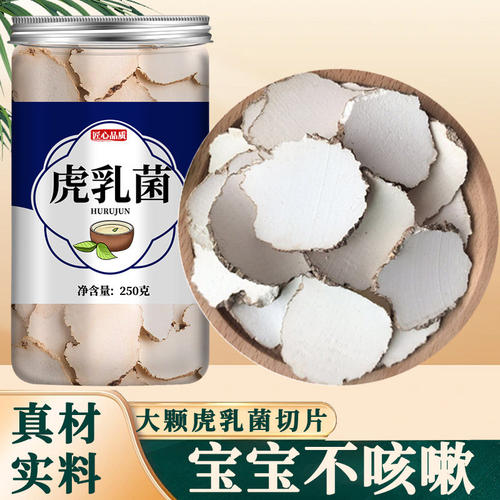滋补养生佳品原切虎乳菌