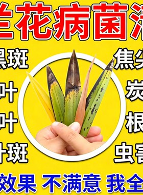 兰花专用杀菌剂清液肥料黑斑病黄叶病焦尖植物百灵菌立清种菜养花