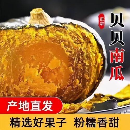 正宗贝贝南瓜新鲜粉糯板栗味