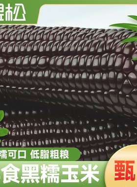 北纬45度香甜黑糯玉米鲜食玉米基地新鲜采摘3H真空包装软糯香甜