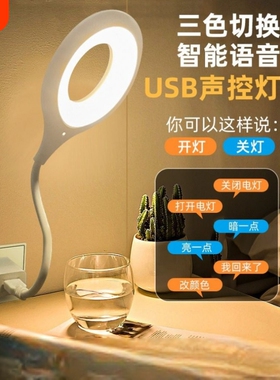 人工智能语音台灯控制灯usb声控灯感应灯led插口小夜灯床头灯插电既唤醒帮手夜间充电宿舍可调节护眼节能两个