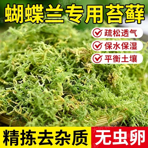 干苔藓水苔青苔蝴蝶兰花专用天然石斛种植营养土乌龟园艺用品植物