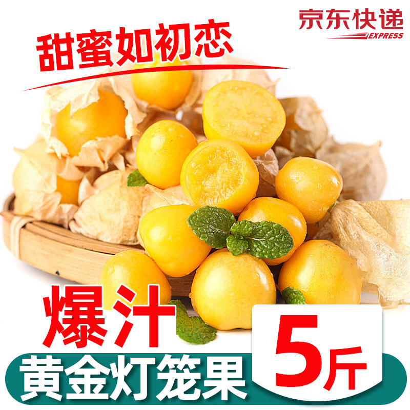 云南姑娘果大果新鲜当季水果特产灯笼果小金豆甜菇娘果京东包邮