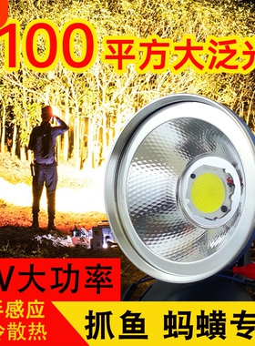 先锋狼散光12v外接电瓶强光头灯led超亮大光斑黄光钓鱼蚂蝗专用