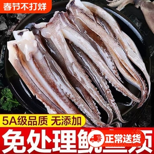 新鲜鱿鱼须鲜活冷冻尤鱼串腿生鲜章鱼二本足海鲜水产铁板鱿鱼商用